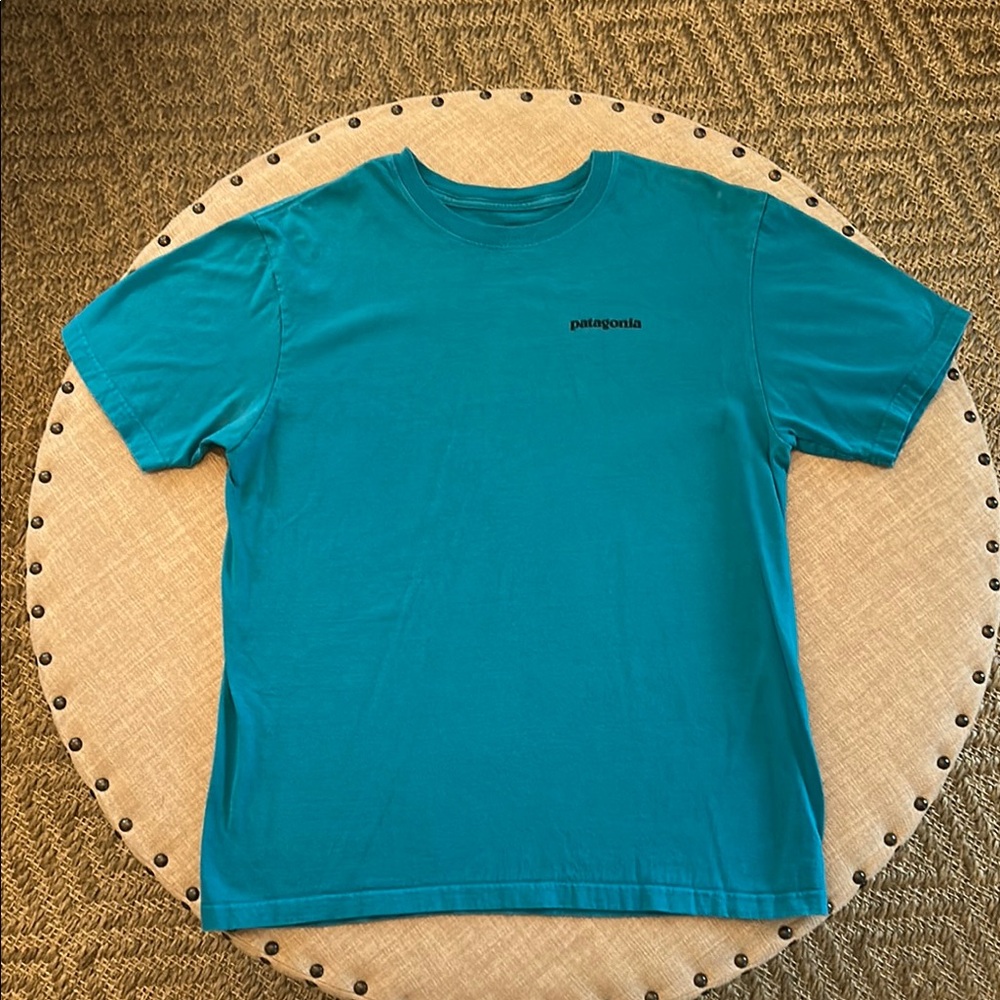 Patagonia Teal Blue Short Sleeve Tee Vibrant Casual Wear